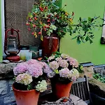 Appartamento Auszeit *