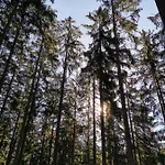 Auszeit