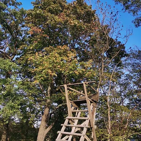 Apartmán Auszeit