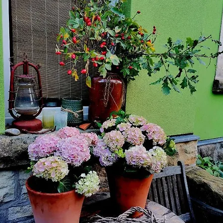 Apartmán Auszeit *