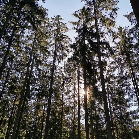 Auszeit